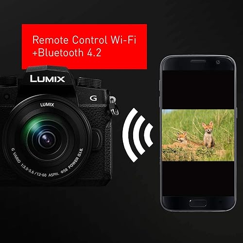Miniatura 7 de Panasonic LUMIX G95 - Cámara sin espejo de 20.3 megapíxeles, lente micro de cuatro tercios de 0.472-2.362 pulgadas, lente F3.5-5.6, IS dual de 5