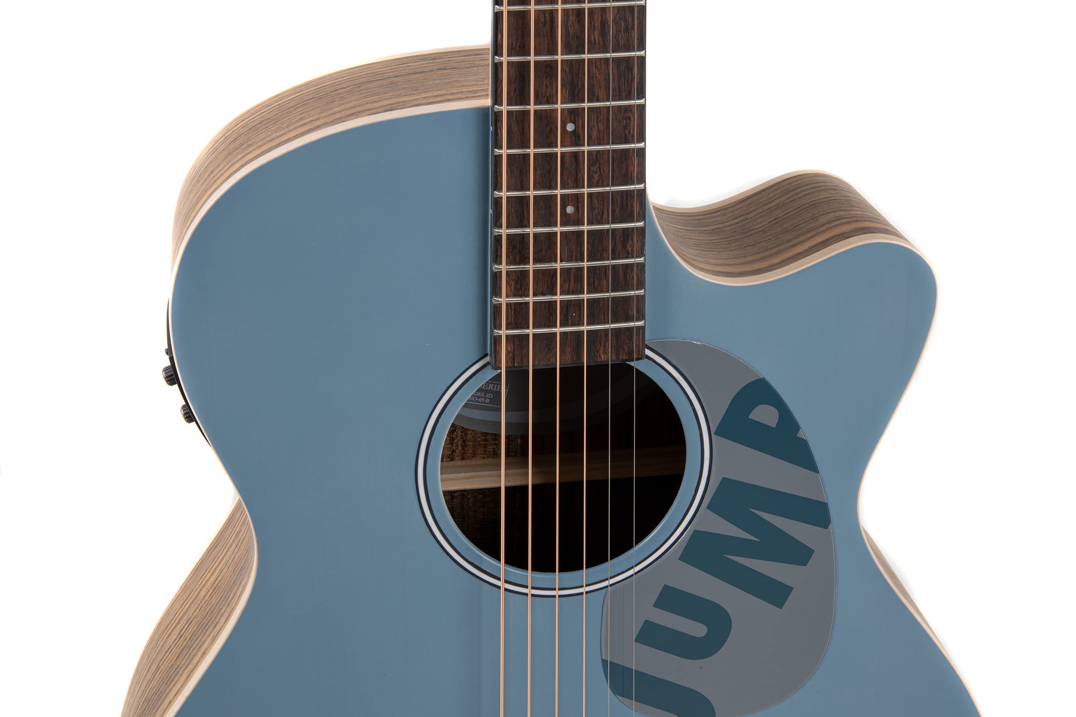 Amazon.co.jp: Applause Electric アコースティックギター 右 ラグーン