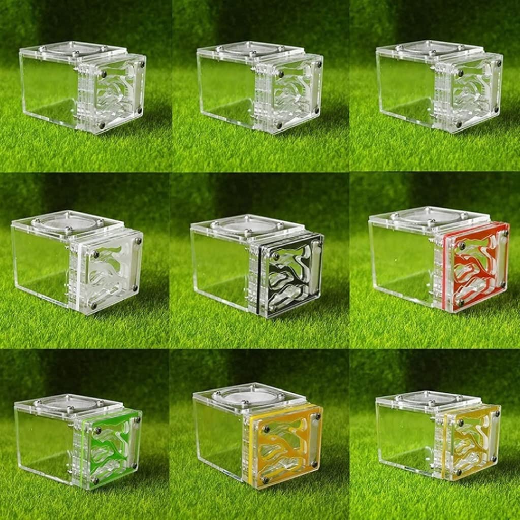 HRTC Formicaio Quadrato Mini formicaio in Acrilico Formica Trasparente Fatto a Mano Habitat educativo Unico Regalo per Bambini Ecosistema della Colonia di formiche