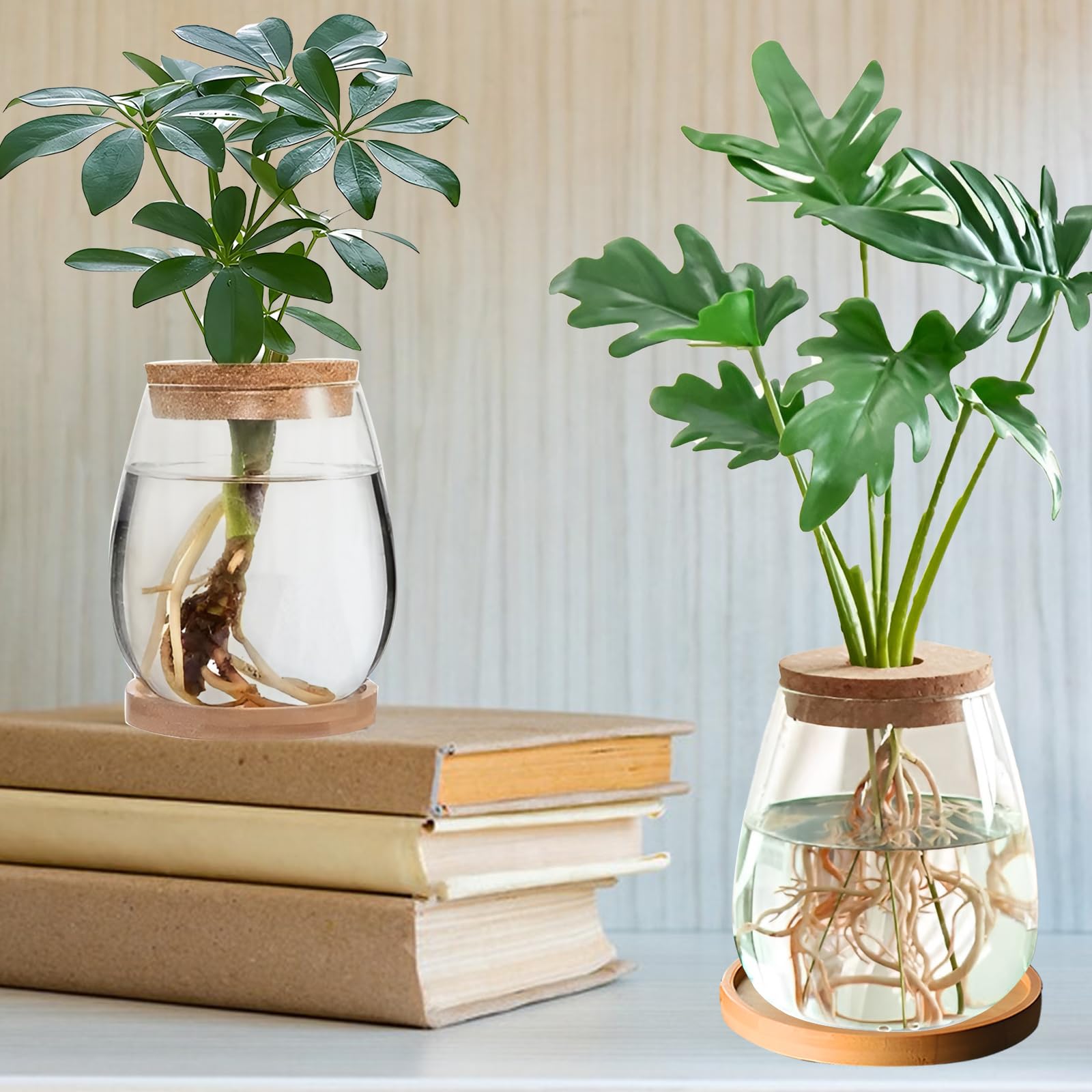 2Pcs Plant Propagation Terrarium - Image 3
