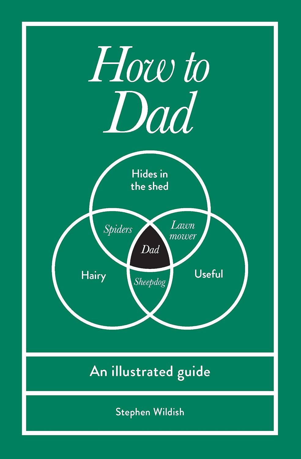 How to Dad: An illustrated guide