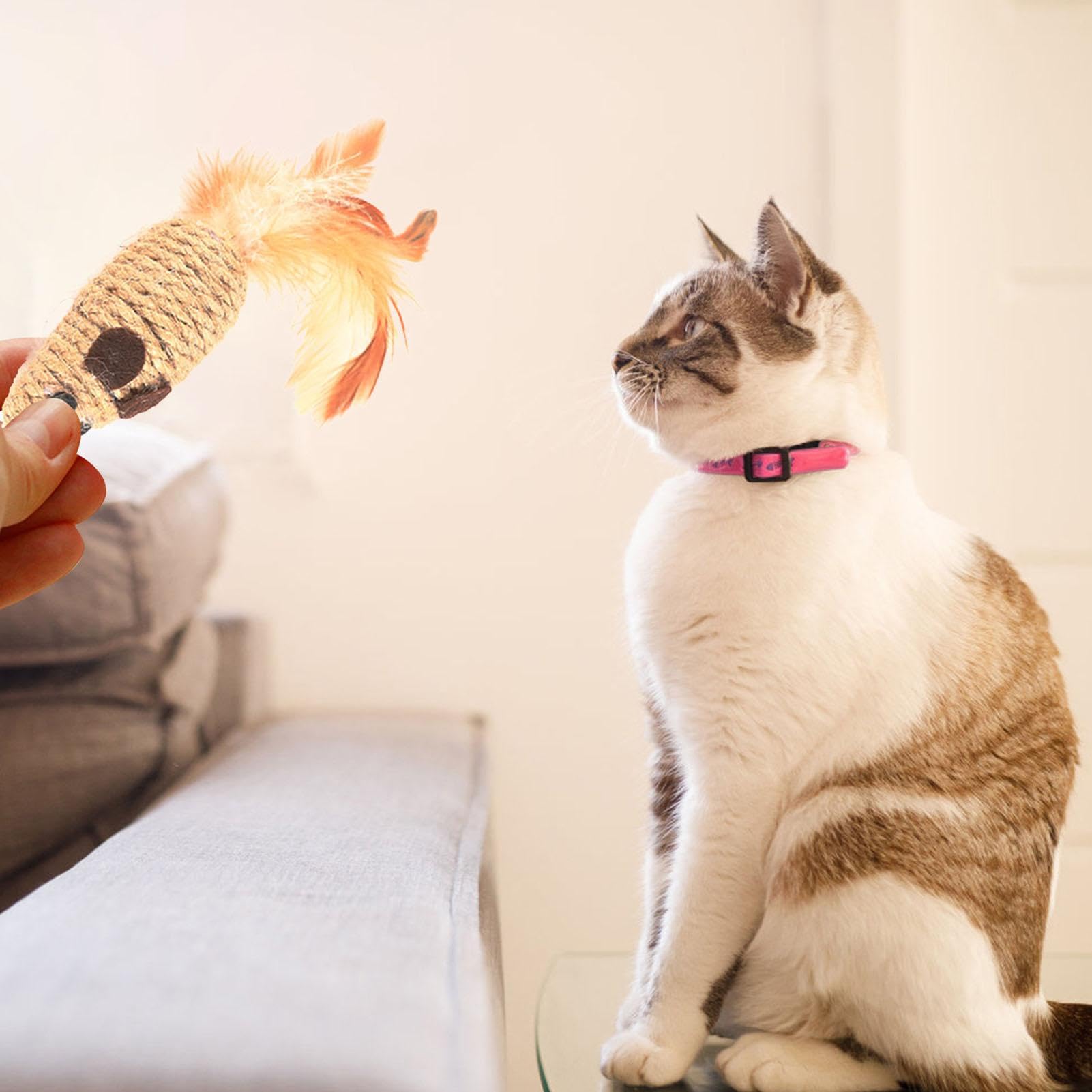 Muisspeelgoed voor katten, speelgoed van touw met