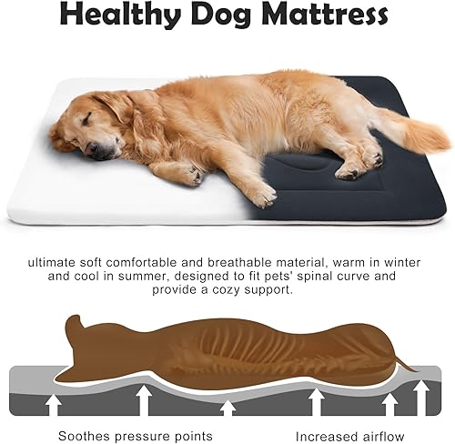 Miniatura 3 de JoicyCo - Cama grande y acolchada de 36.0, 42.0 y 47.0 pulgadas para perro, lavable, con base antideslizante, cama para mascotas, camas para gatos,