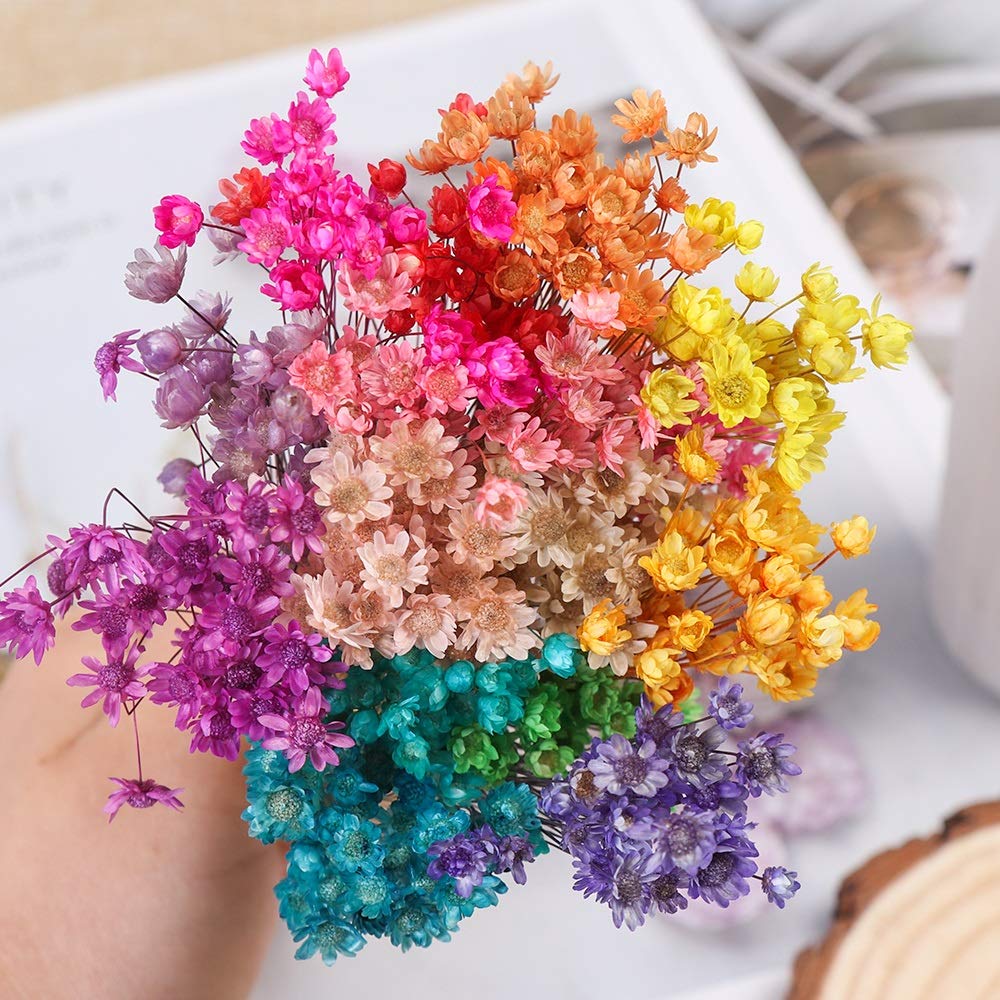 Amazon｜造花 ドライフラワーミニデイジー小さなスターの花ブーケ自然 