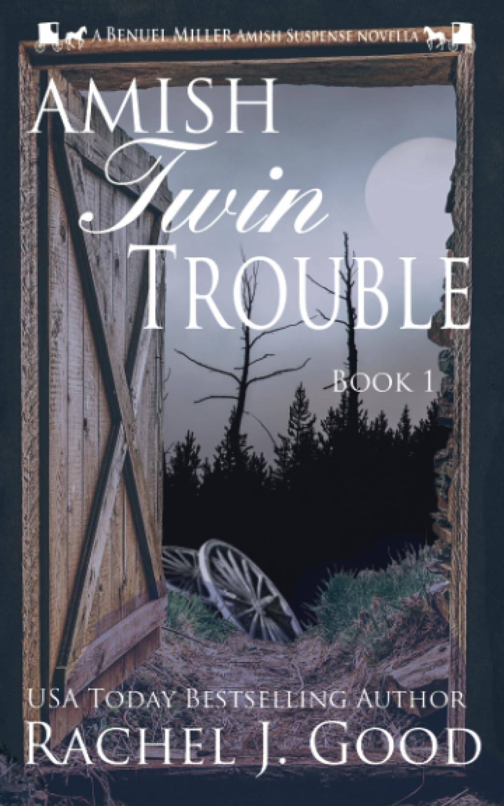Amish Twin Trouble: A Benuel Miller Amish Suspense Novel: 1 (Amish Detective Benuel Miller)