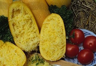 Spaghetti Zucchini Seeds Vegetable Organic for Planting Outdoor Non GMO 5 Seeds