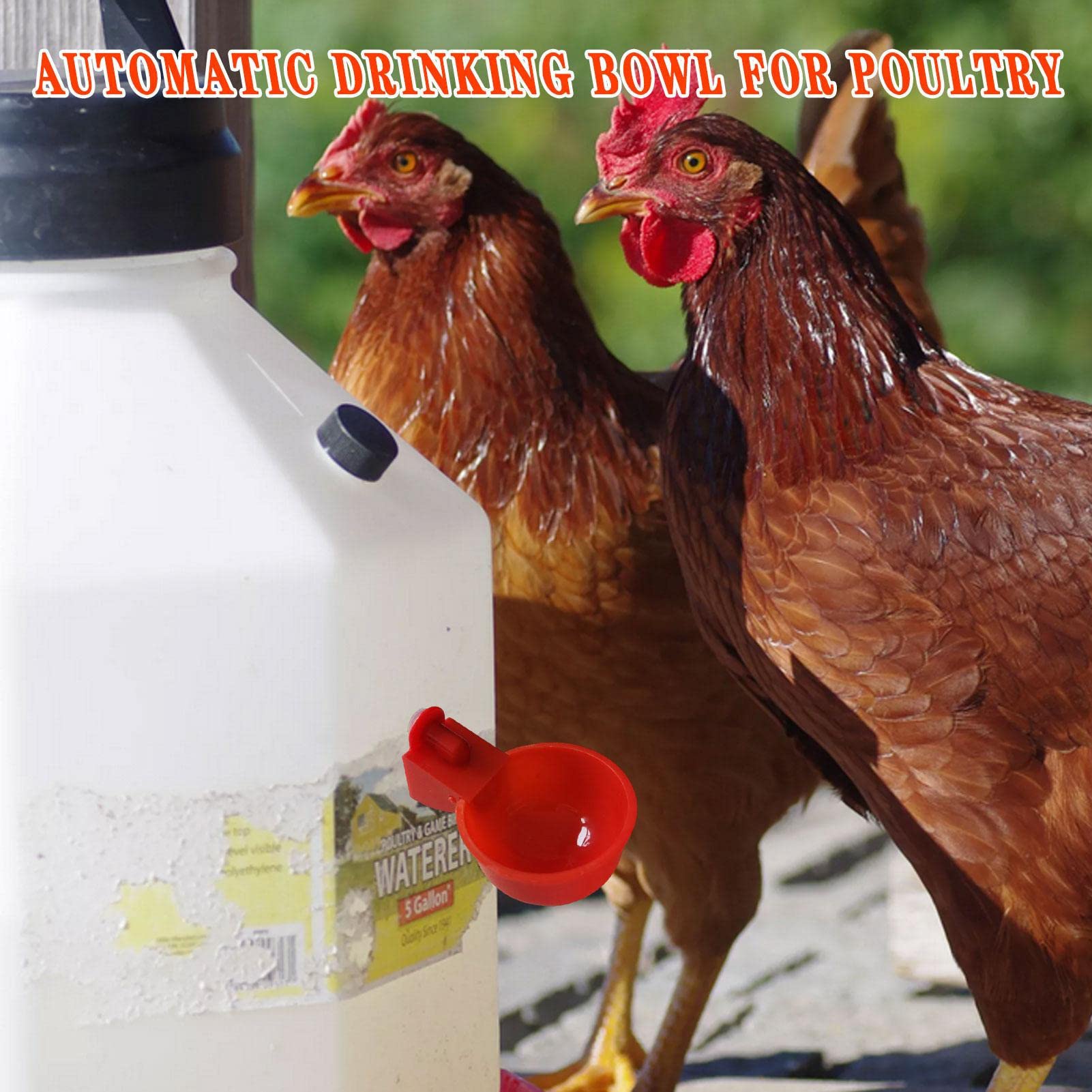 Produktbild von Automatische Hühner-Wasserschale – 5 Stück, Für Geflügel, Enten, Gänse & Truthähne, Rot