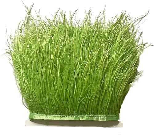 2 yardas de plumas de avestruz coloridas con flecos, adornos para coser vestidos, ropa, zapatos y sombreros, decoración de boda (verde lima)