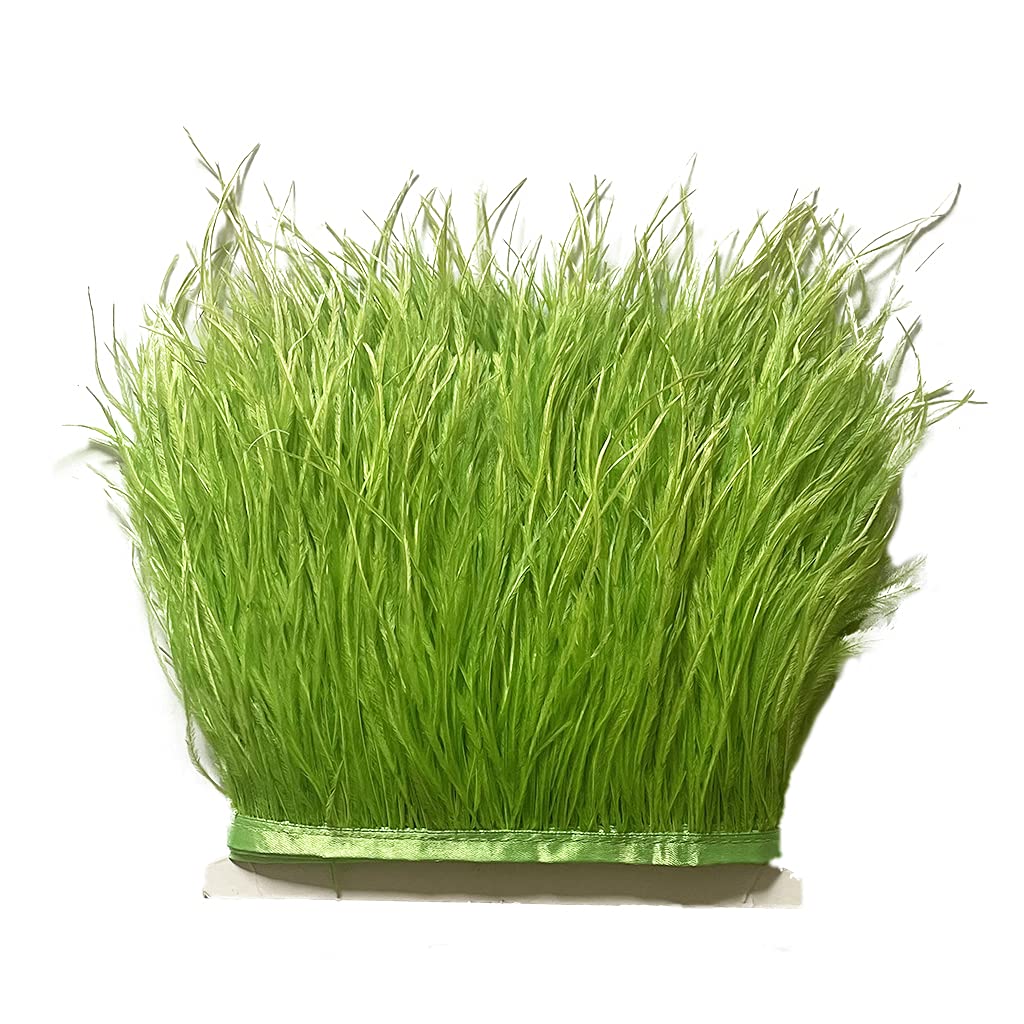 2Yard Lime Green Ostrich Feather Fringe Trim 4-6inch in Width for DIY Costume Sewing Craft Decor Dress Accessories Party Supplies Festival Outfits