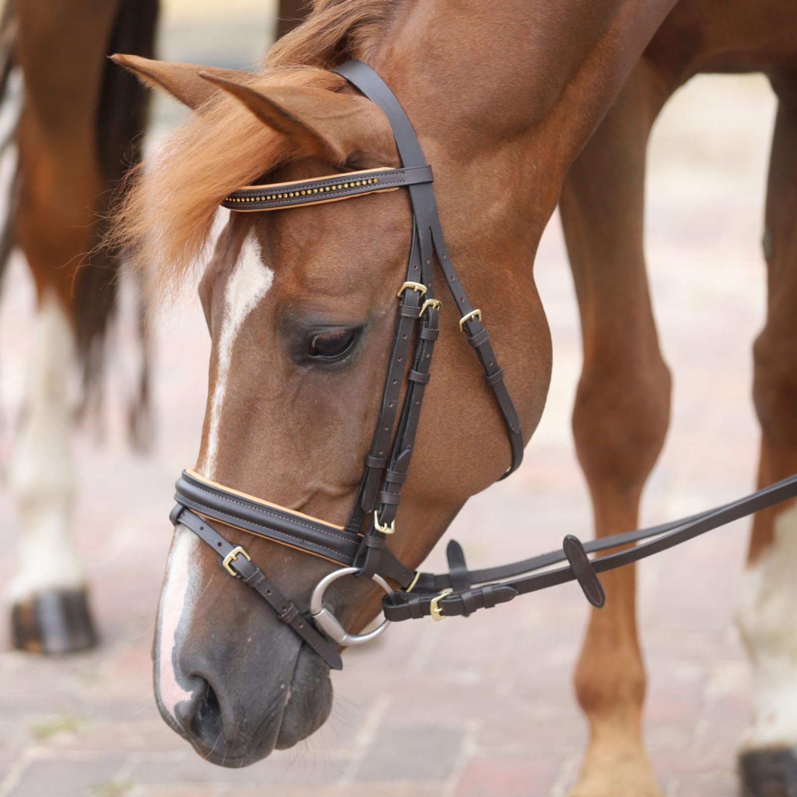 Marengos - Trensenzaum englisch kombiniert Diamond Braun/Gold Pony