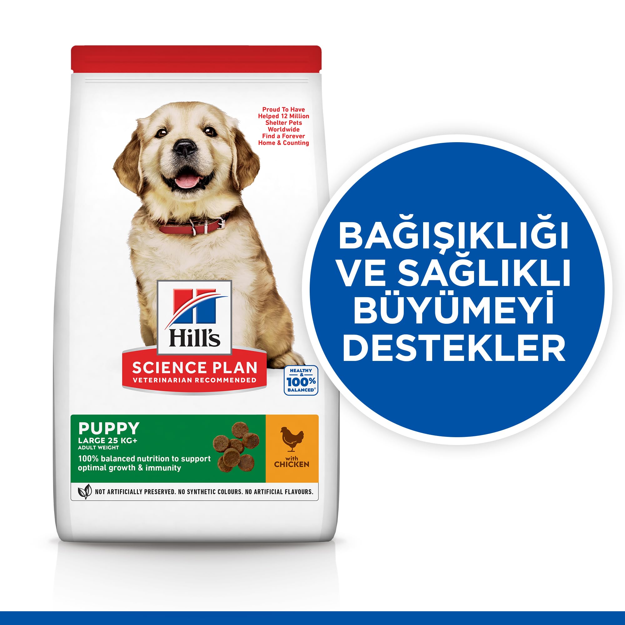 HILLS SCIE HSP Canine Puppy Large 14,5KG