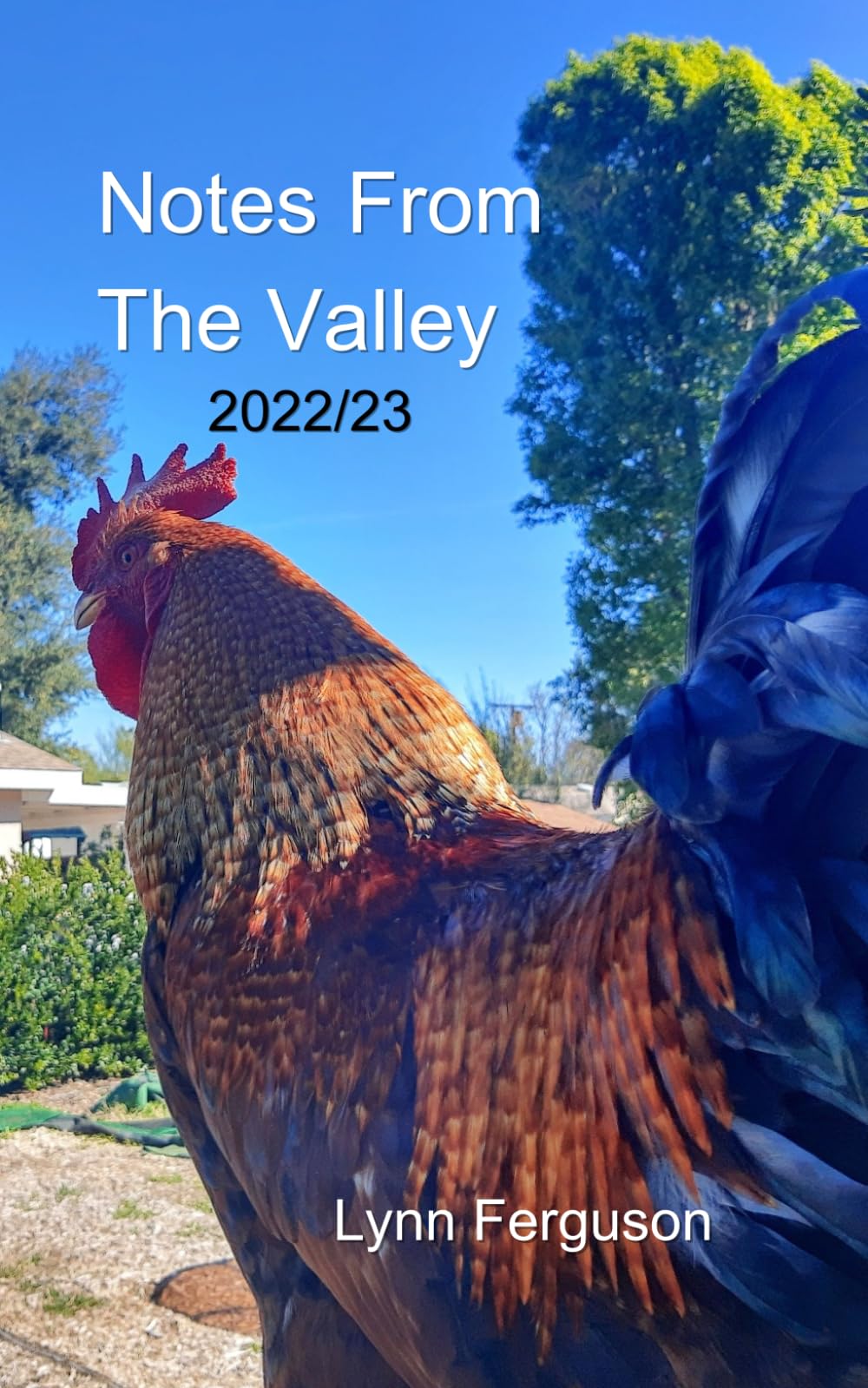 Notes from the Valley: 2022/23