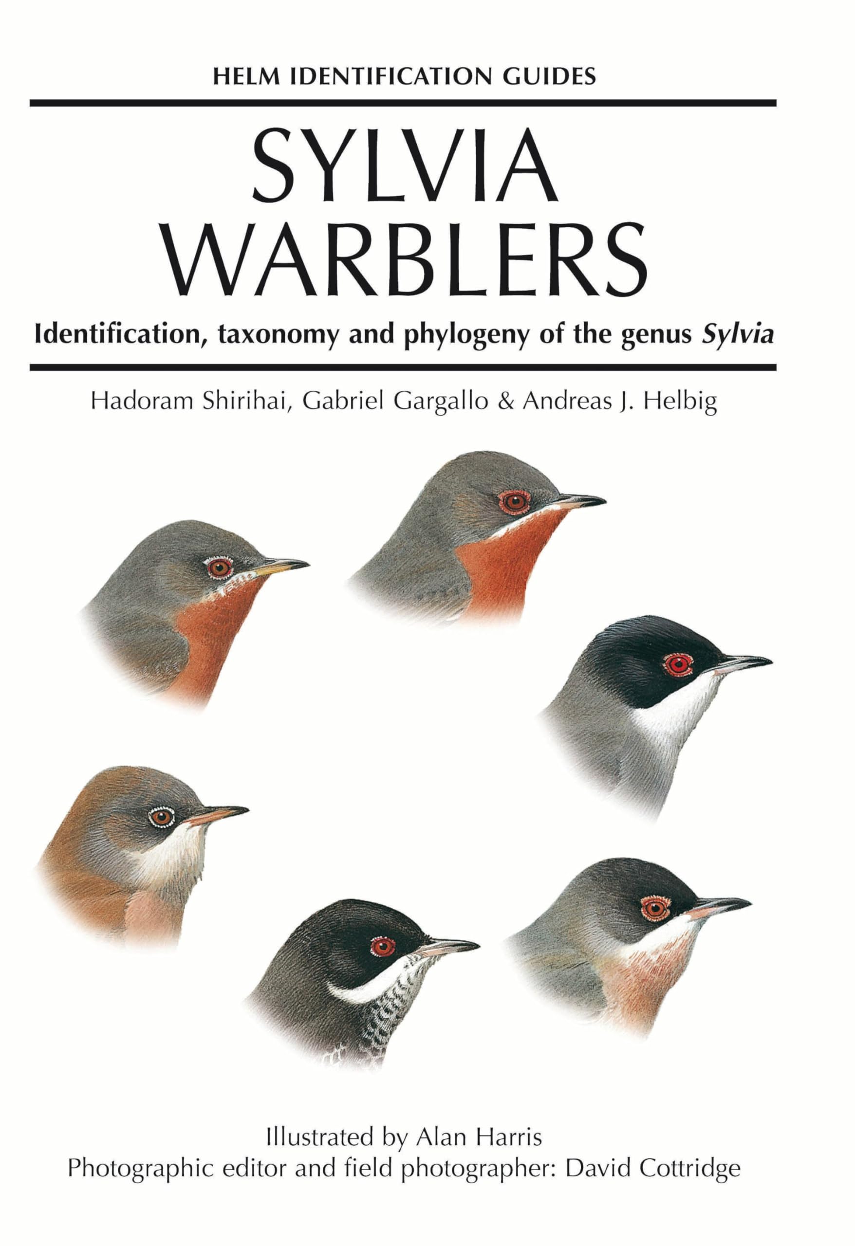Buy Sylvia Warblers: Identification, Taxonomy and Phylogeny of the Genus Sylvia — BookShops.in