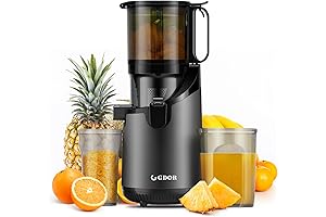 Self Feeding Cold Press Juicer
