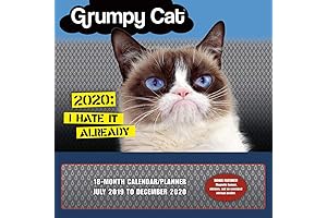 2020 Grumpy Cat Calendar: A Perfectly Cranky Companion for the Whole Family