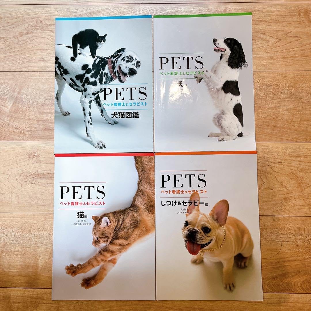 極美品】レックウザ PROMO XY スカイツリー あんしん鑑定 値引きします