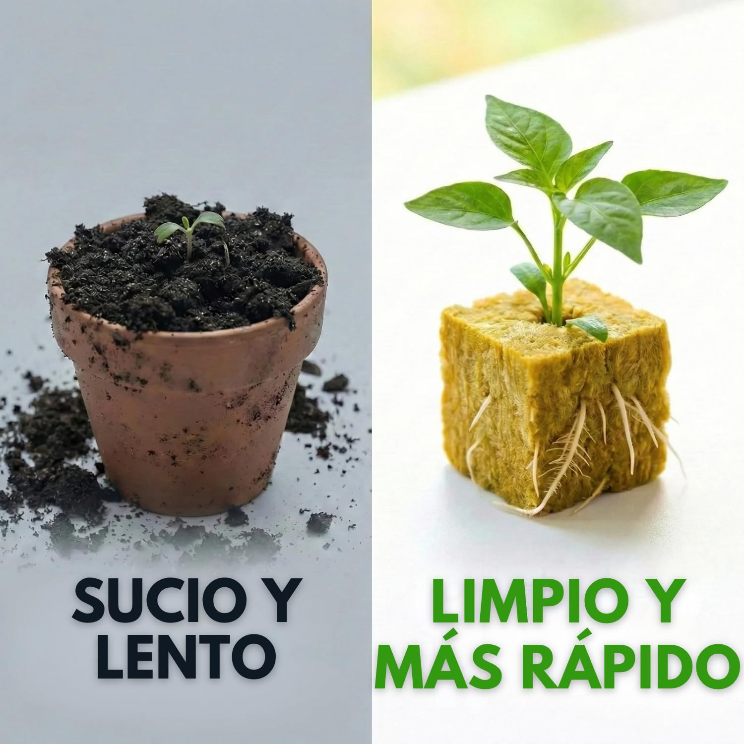 Lote de 100 Cubos de Lana de Roca Hidropónica (2,5 cm) para Germinación y Esquejes, Substrato Aireado Que Favorece el Crecimiento Rápido, Ideal para Semillas, Jardines Interiores y Exteriores