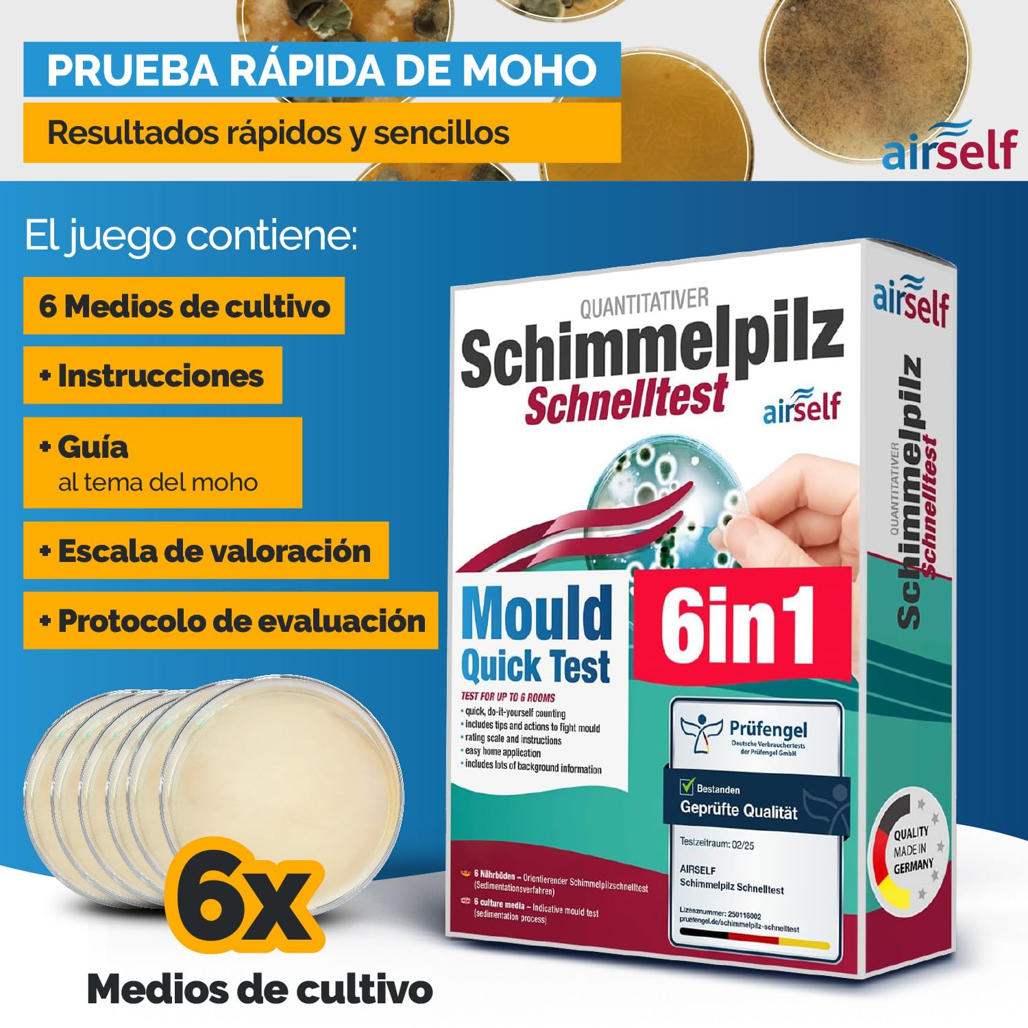 Test de moho para el hogar – Test rápido para 6 habitaciones – Evaluar calidad del aire y moho en interiores y hogar