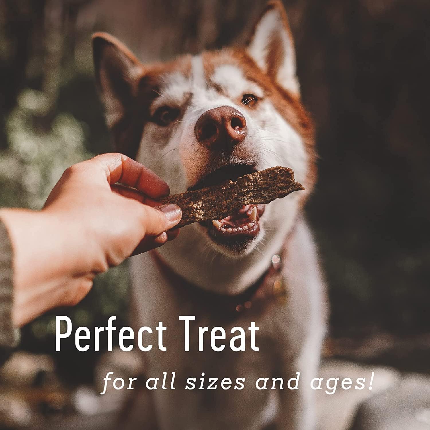 Farm Hounds - Duck Strips - Premium Natural Jerky for Dogs - Made from 100% Humanely Raised Duck - Great for Training & Treats - No Added Fillers - Made in USA - 4.5 oz - 2 Pack