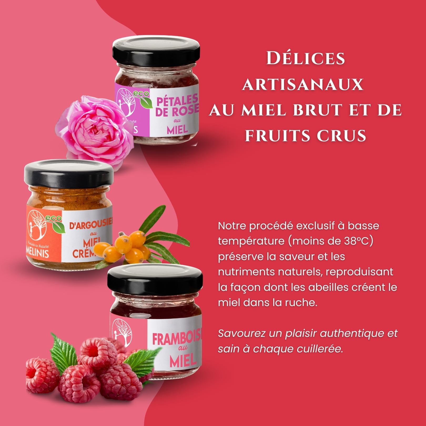 Coffret 3 × 40 g Crèmes de Miel Bio – Acacia à l’Argousier, à la Framboise et à la Rose – Sans Sucre Ajouté – Pour Petit-Déjeuner, Desserts ou Cadeau – Melinis