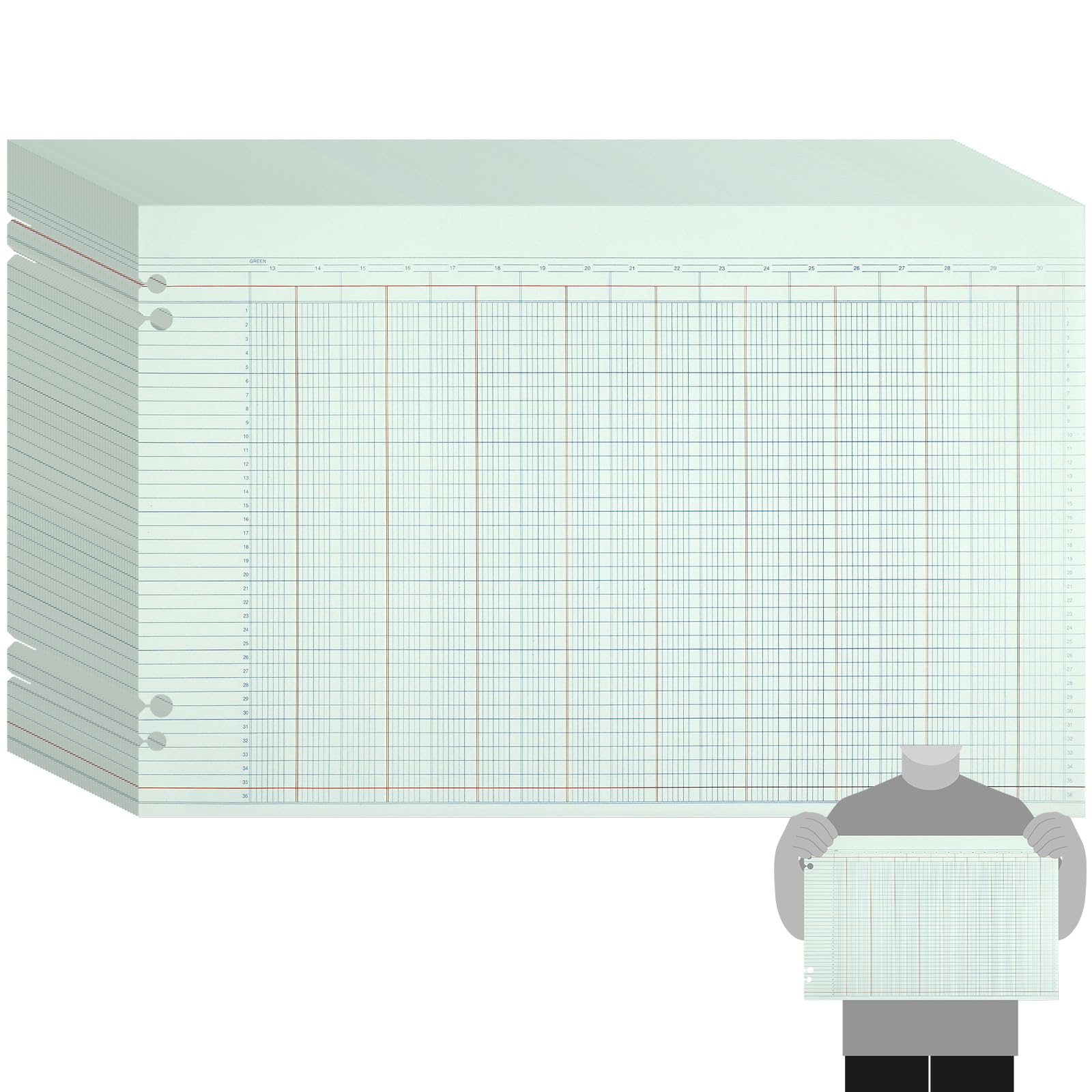 Skyygemm 100 Stück G5030 Buchhaltungsblätter, säulenförmig, liniert, Buchhaltungsbuch, Säulenblock, 30 Spalten, 27,9 x 43,2 cm, Grün, Doppelseitenformat