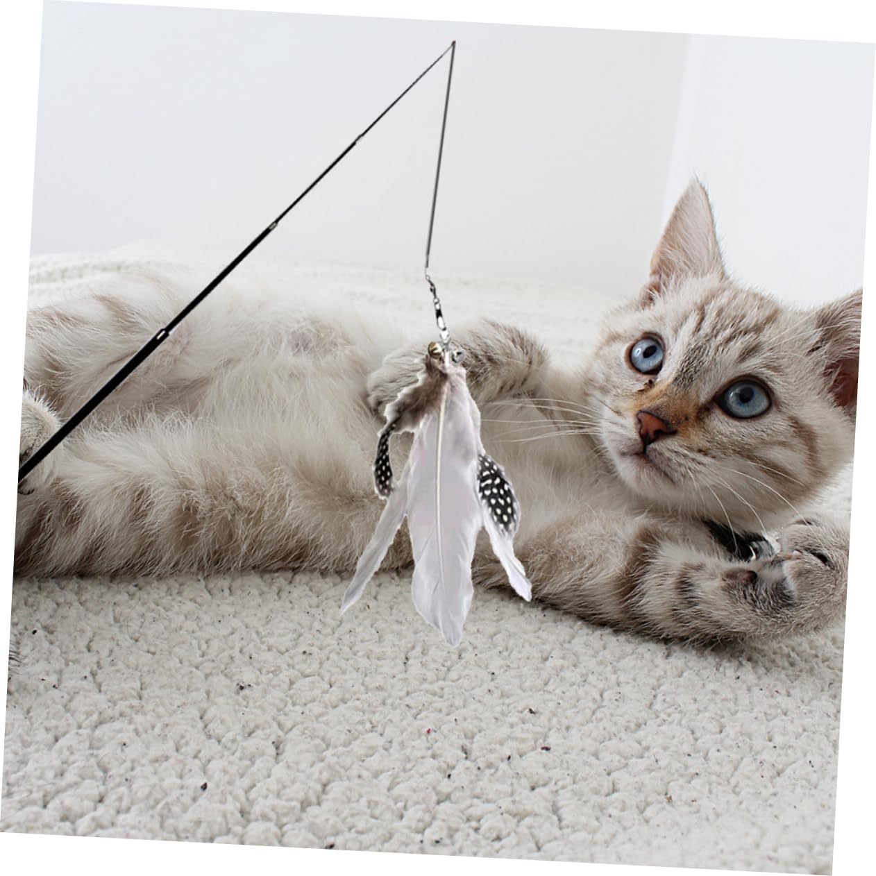 BESPORTBLE 8 Pièces Chat taquin Interactive Cat Toy Le Chat pour Animaux de Compagnie Jouet pour Jouets pour s taquin pour on Jouet de de