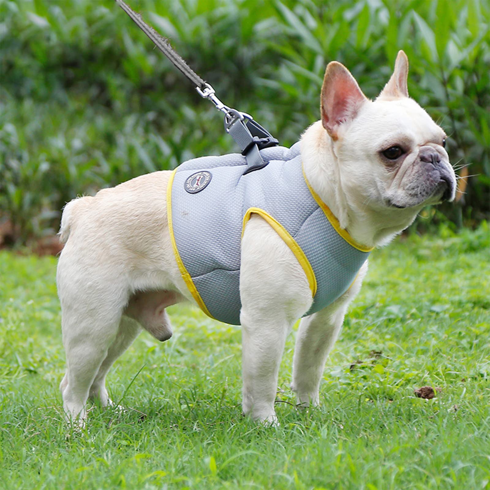 HMJGDHX Gilet rafraîchissant pour Chiens, Veste légère pour Chiens de Petite, Moyenne et Grande Taille, Manteau rafraîchissant pour la Marche en Plein air, la Chasse, l'entraînement, Le Camping,