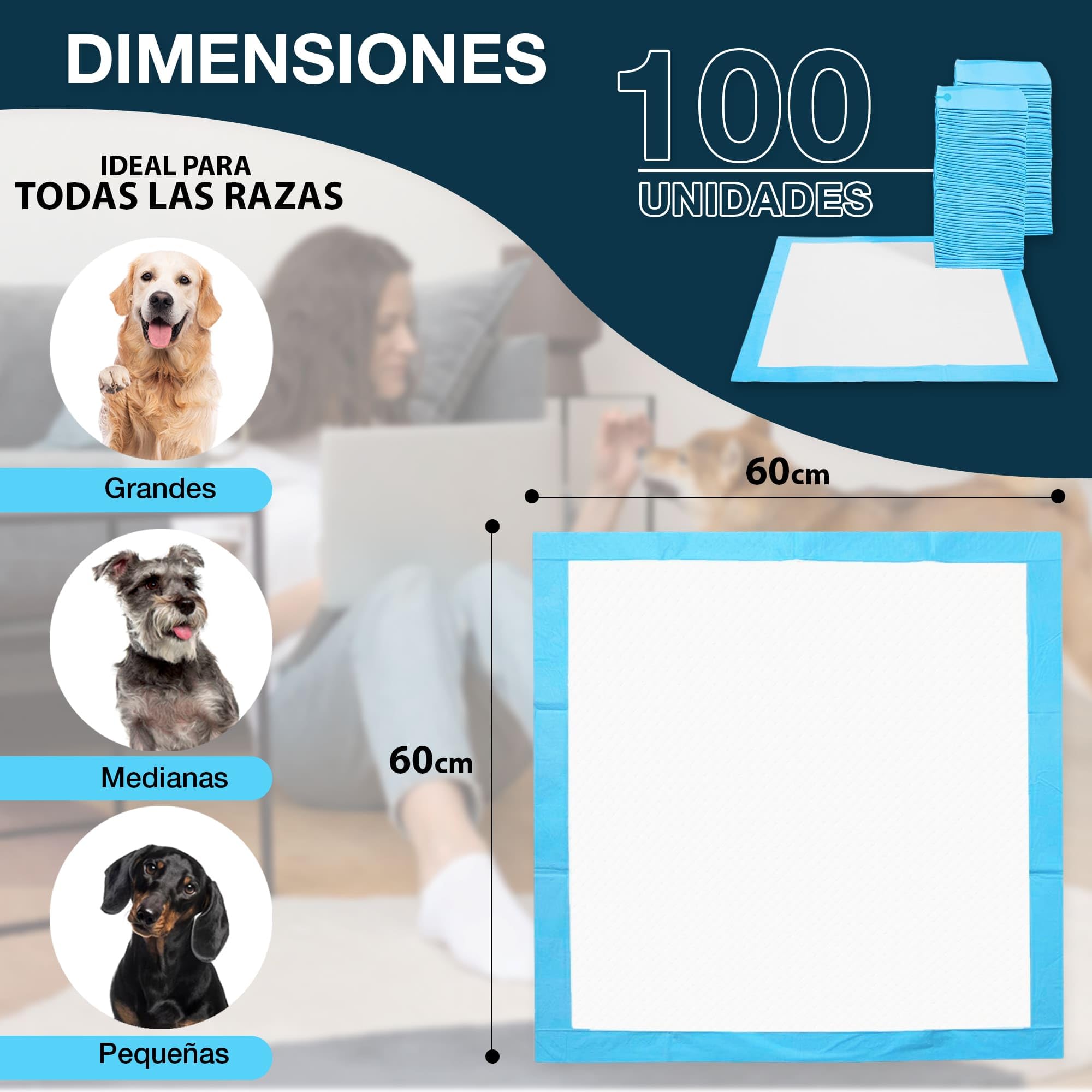 Empapadores Perros 60x60 cm CIVINZON 100 Unidades Ultra absobente de micciones, Alfombrillas Higienica Desechables para Mascotas, Resguardos para Cães, Resistente, Atrayente y a Prueba de Fugas