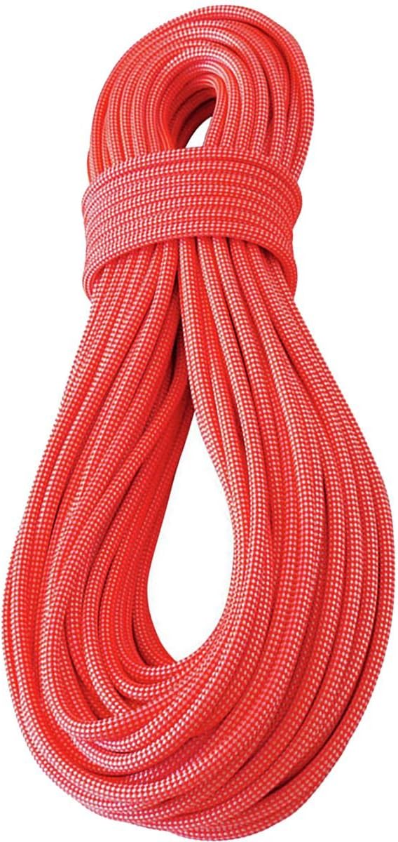 Tendon Canyon Dry 9 mm Rope-Red-60 C090TD41C060C