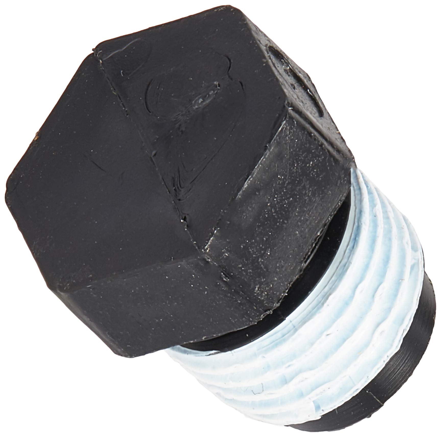 Buy Pentair WC7840T 1/4Inch NPT Plug Replacement StaRite Pool/Spa