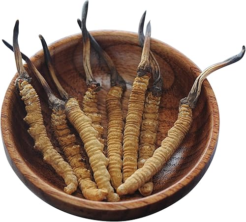 Miniatura 2 de Genuino seco Cordyceps sinensiswinterworm summerherb, Ophiocordyceps sinensis, Tíbet destacado, (6 piezas) peso neto 0.04 oz.