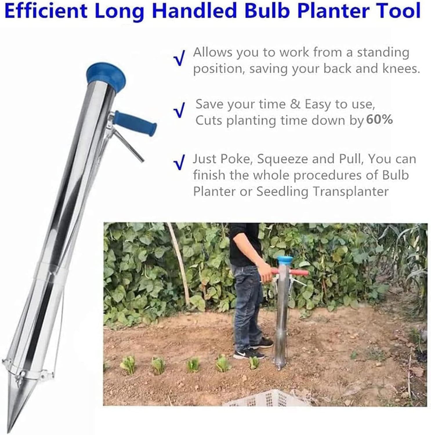Planteuse à bulbes à Longue poignée, transplanteur Ergonomique avec jauge de Profondeur, Outil de Jardinage en Acier Inoxydable, Planter efficacement des semis sans se pencher.