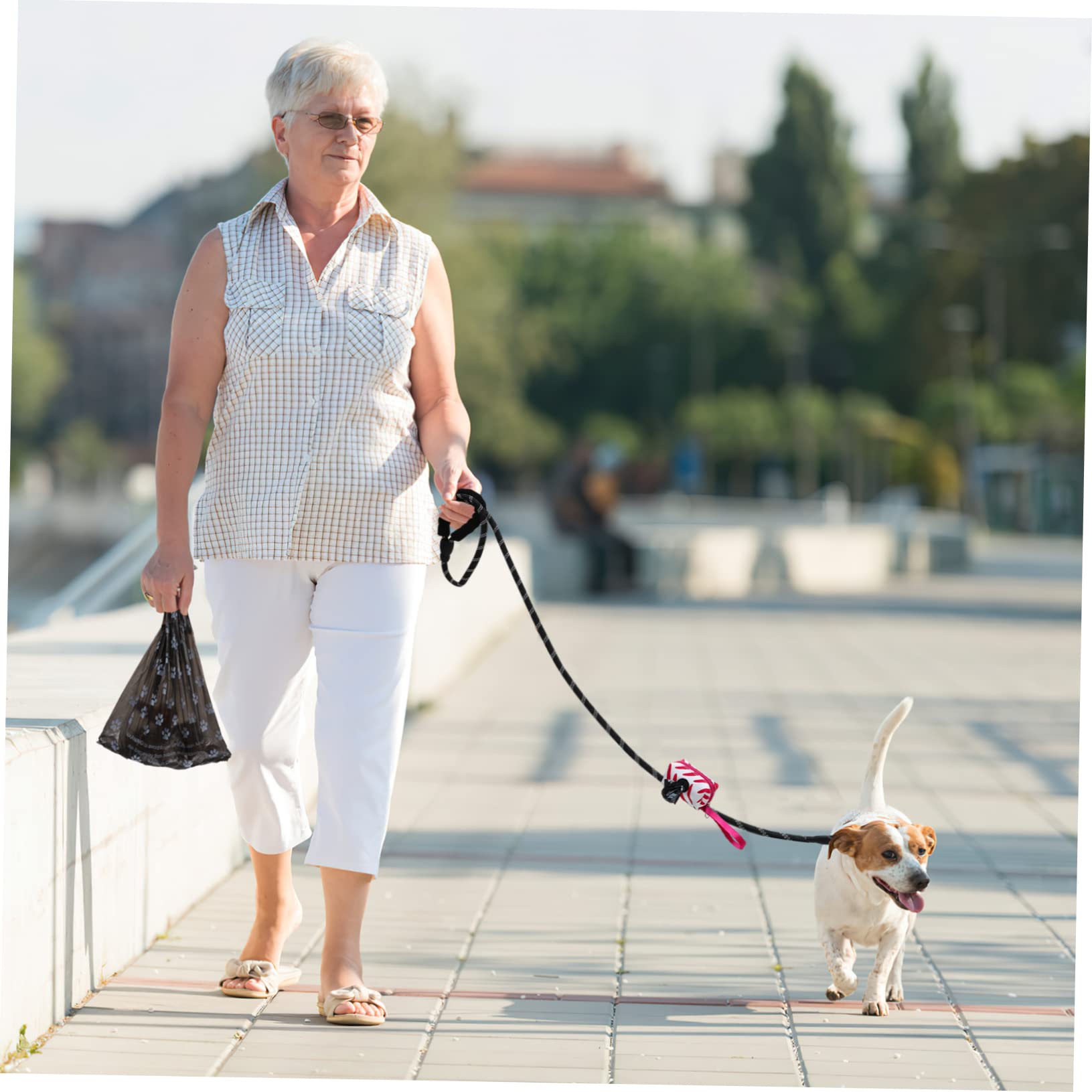 1 Satz Nylon-hundeleine Für Draußen Dicke Leine Mit Halter Für Hundekotbeutel Robust Für Kleine Und Mittelgroße Hunde