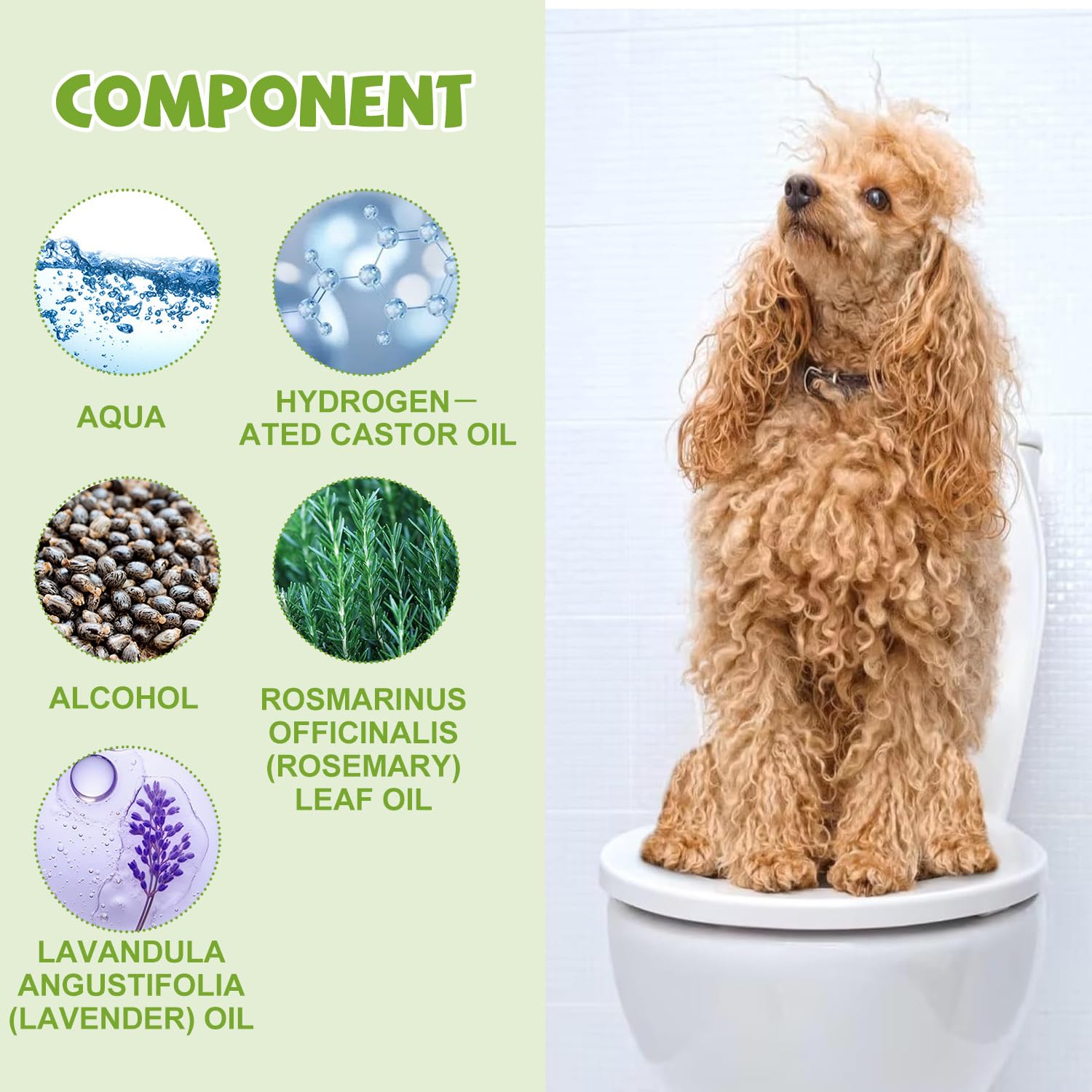 Spray Fai La Pipì Qui per Cani, Spray per Addestramento Vasino per Animali Domestici, 30 ml Attrattivo per pipì per animali domestici, Attraente, Strumenti Addestramento, Protezione Casa Mobili