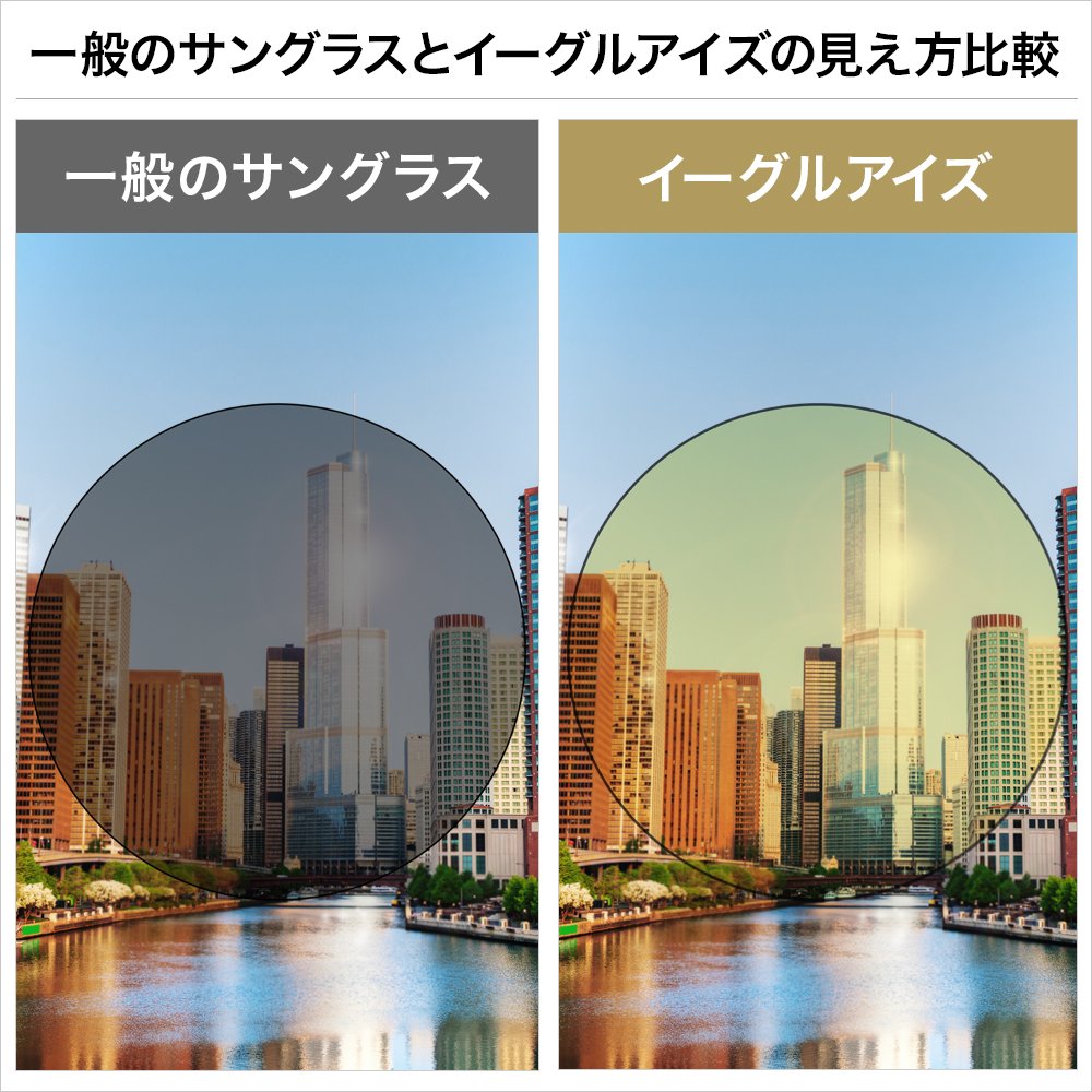 Amazon.co.jp: 【公式】 Shop Japan(ショップジャパン) イーグルアイズ