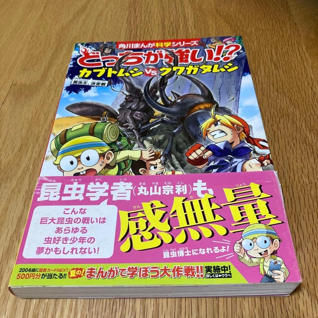 どうろがいけい!!? カブトムシ vs クワガタムシ