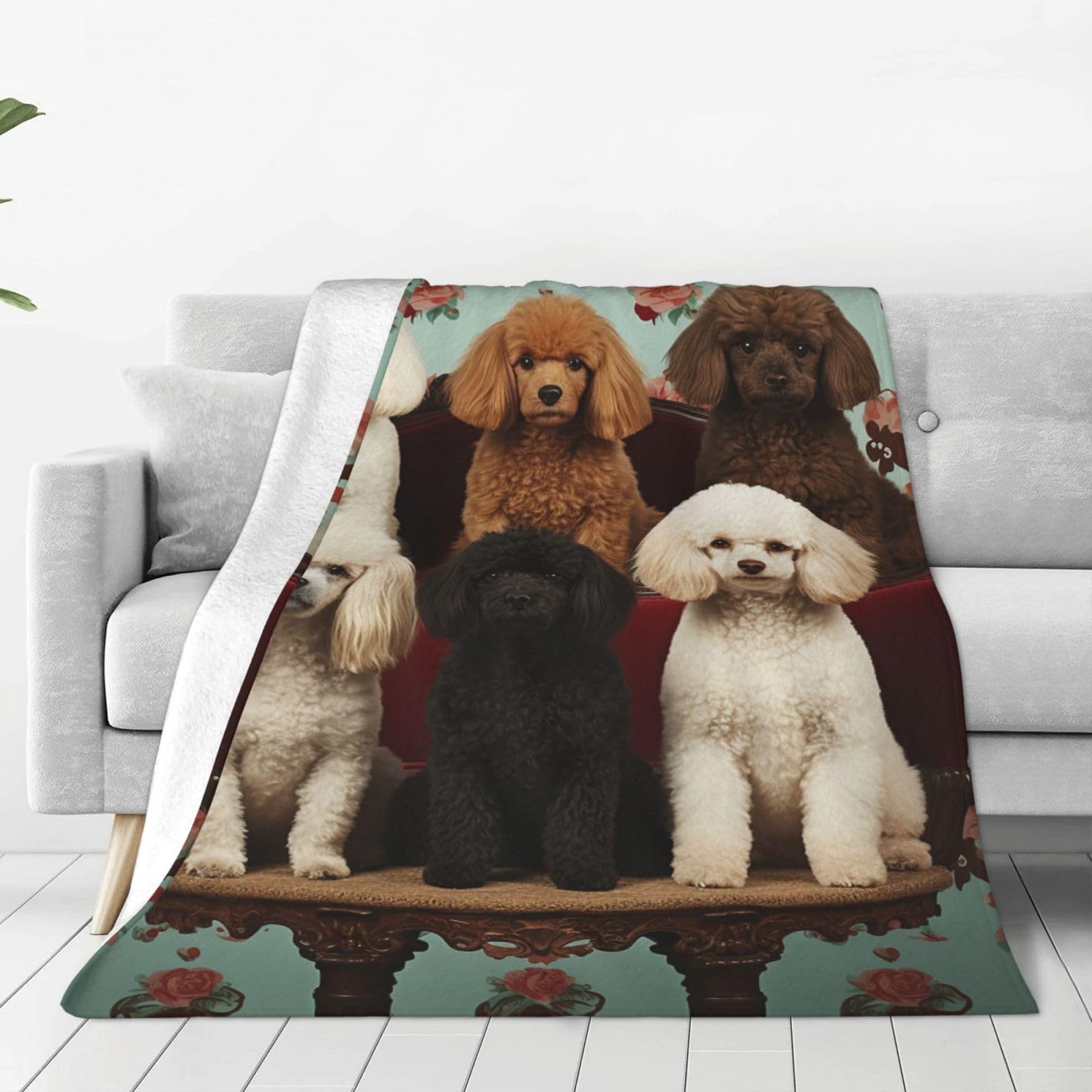 KLOPH Poodles Dogs Throw Blanket 80"x60" Flannel Fluffy Warm Blanket for Couch, Reversible Plush Blankets for Bed, Comfy Fuzzy Blanket for Sofa, Plush Lightweight-Blankets for All Season