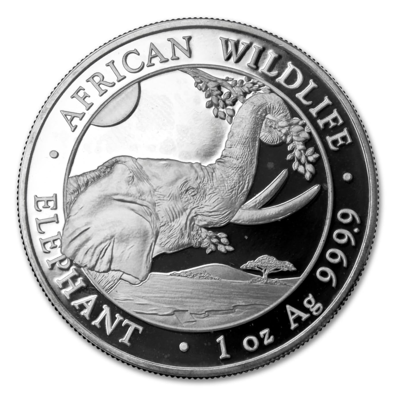 2023-1 oz Somalia African Wildlife Series: Silver Elephant Coin