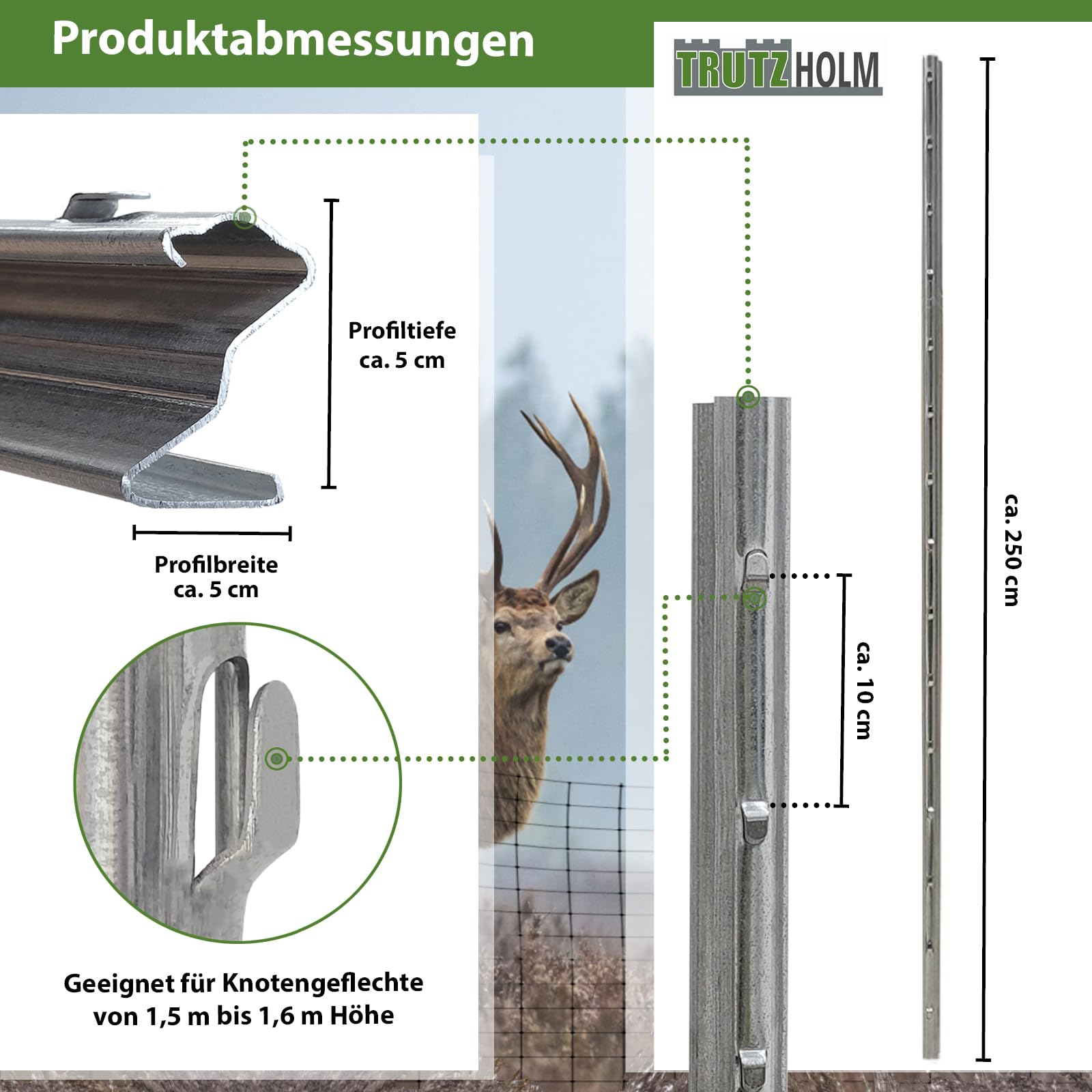 TRUTZHOLM 10x Z-Profil Zaunpfosten 250 cm feuerverzinkt Zaunpfähle 1,5 mm Stärke gestanzte Haken Forstprofil