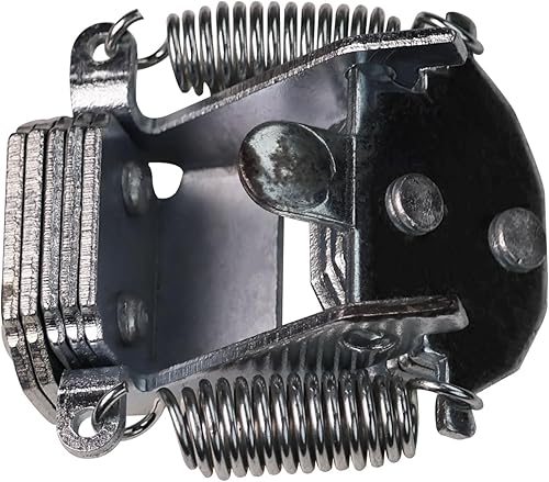 Ctuoptuo SAW-21-36, 601079-001 Governor - Interruptor giratorio, apto para todos los motores Century (A.O. Smith) de una sola velocidad para