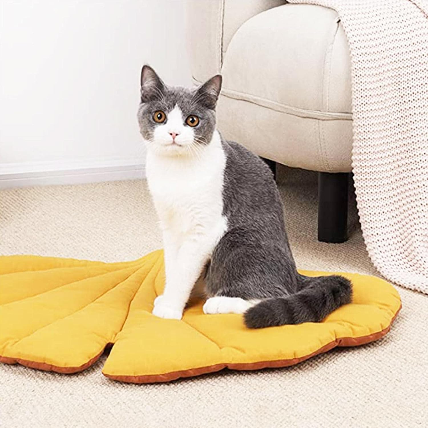 review 3D Grey Leaves Pet Blanket,Leaf Shaped Baby Blanket Play Mat,Dog Blanket or Cat Blanket, Warm and Soft, Plush Blankets for Dog Bed and Cat Bed Couch Sofa