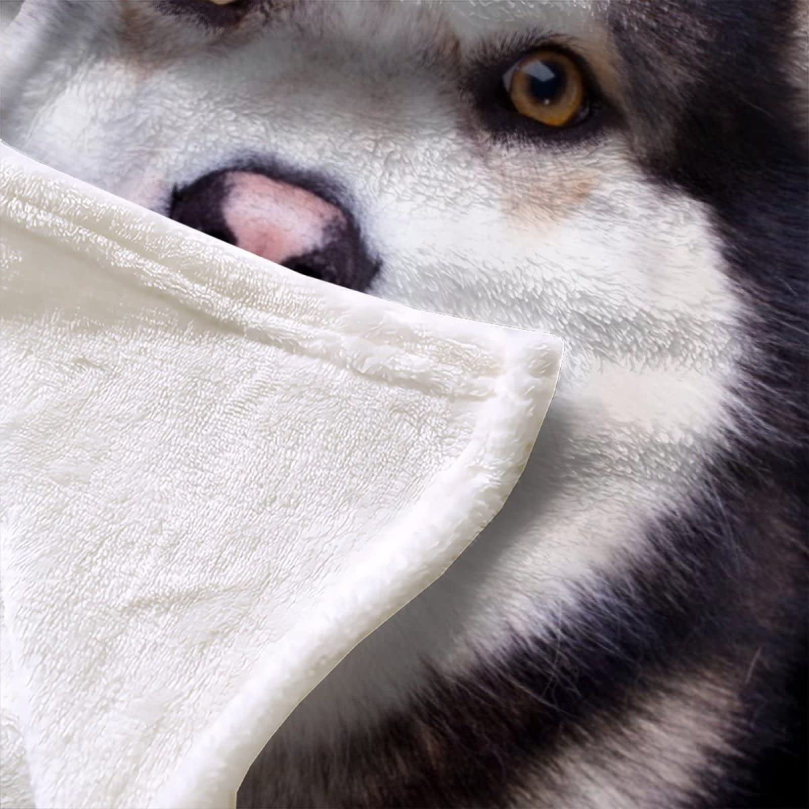Couverture Polaire 200x220 Chien de Traîneau D'alaska, Plaid Chiens et Animaux en Flanelle 2 Personnes Doux et Chaude imprimée en 3D Couvertures pour Salon Canapé Canape Lit
