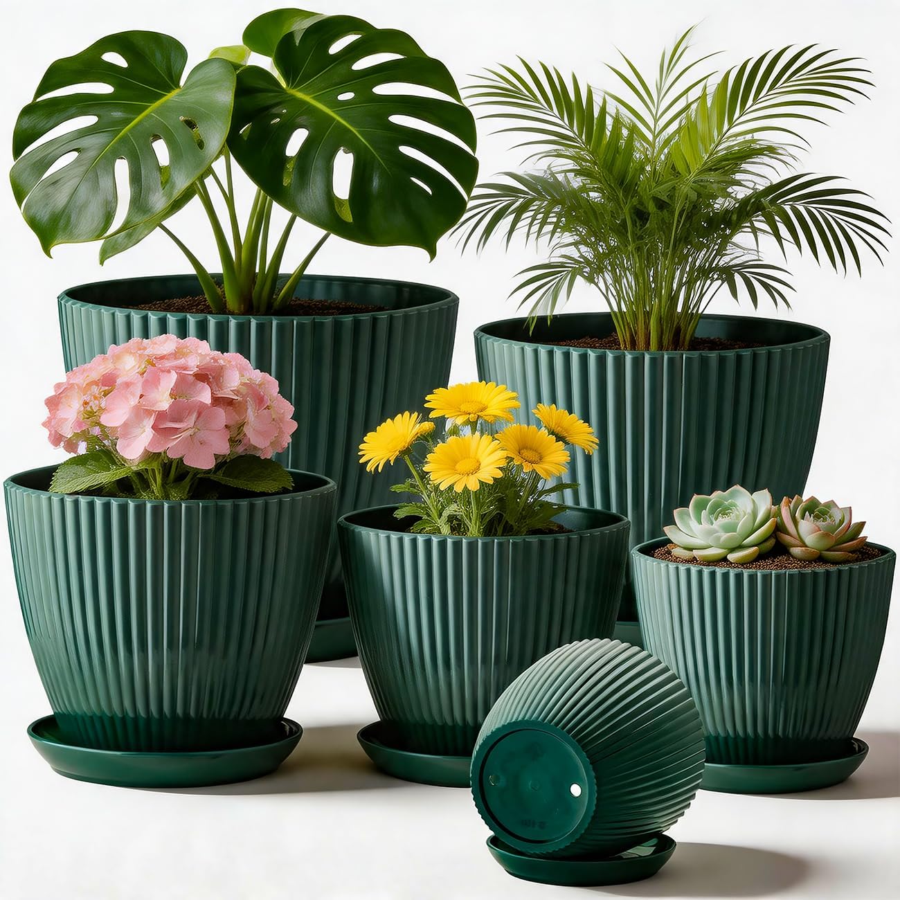 RooTrimmer Indoor Plant Pots with Drainage Holes and Saucer, 6 Pack Plastic Flower Pots(7.5/6.5/5.5/4.9/4.2/3.5Inches - Perfect for Small Indoor Plants and Home Decor, Dark Green