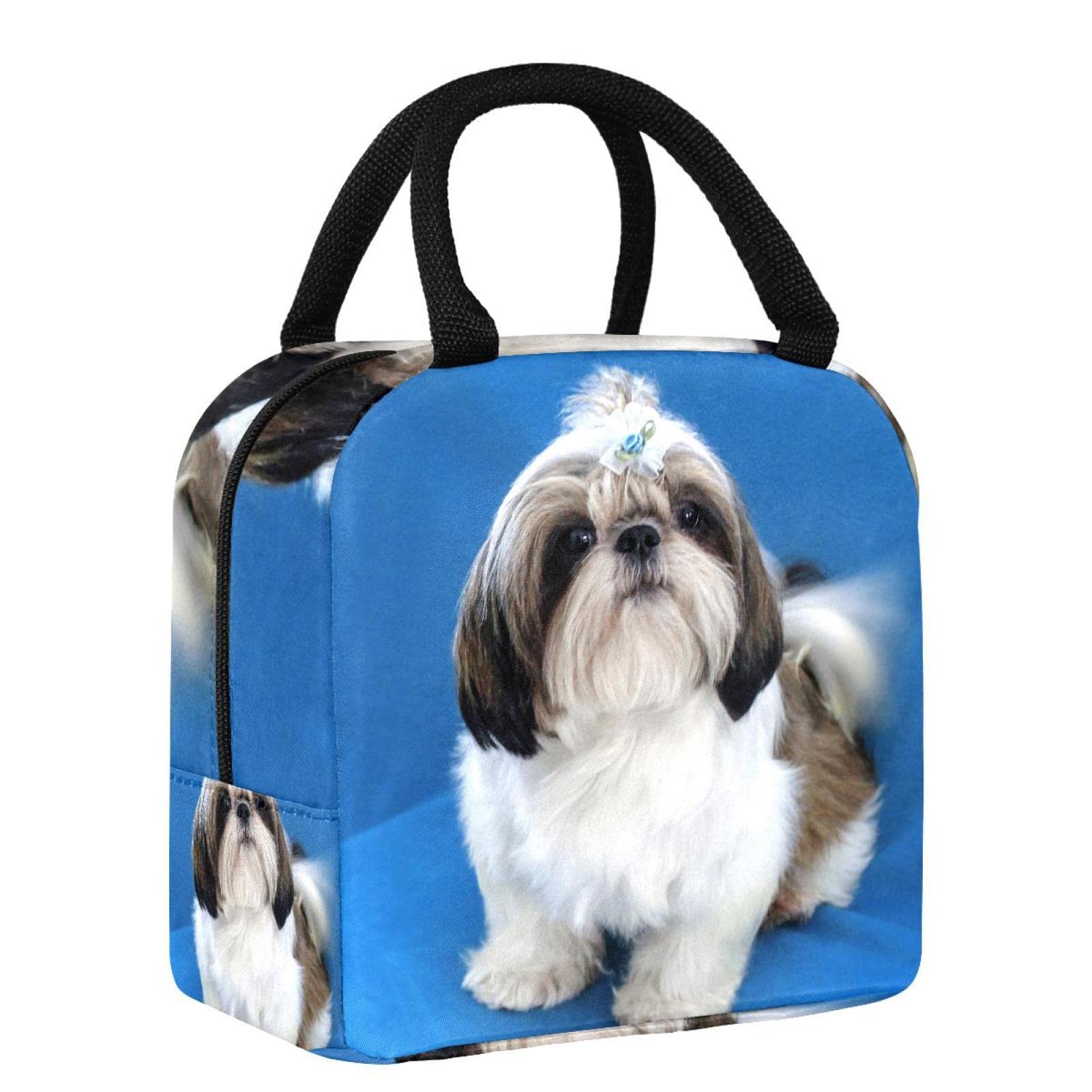 Borsa termica per il pranzo da donna, con simpatico cane Shih Tzu da uomo, borsa termica per bambini, adulti, lavoro, scuola, viaggi, colore 4