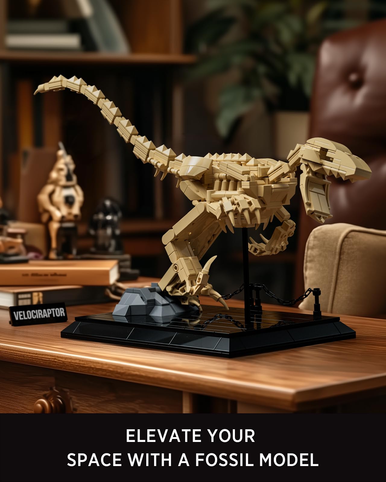 Nifeliz Maquette Fossile Velociraptor, Kit Construction Squelette Dinosaure avec Support 498 pièces