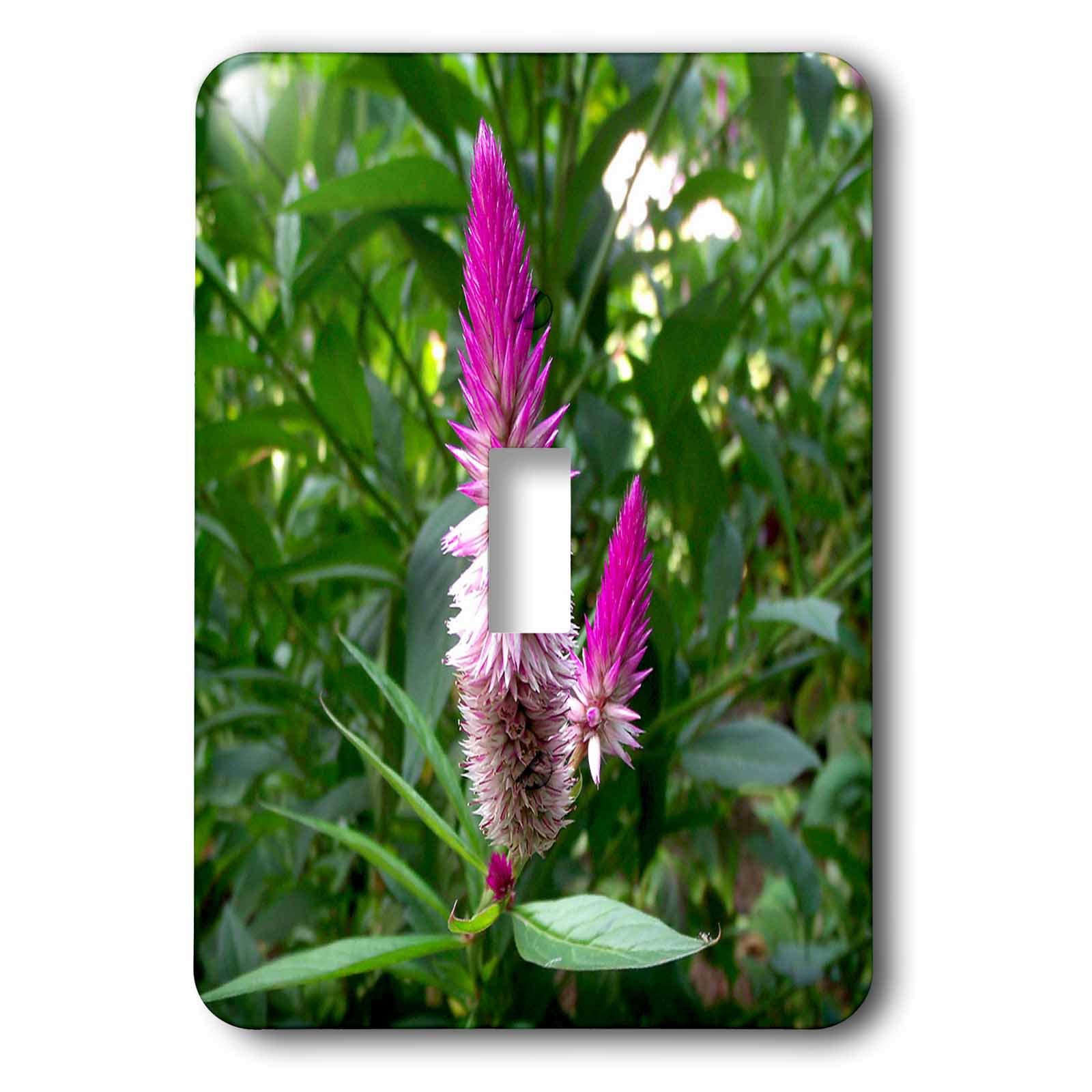 Flamingo plumes Célosie plaque interrupteur haut de gamme aux finitions artistiques 3dRose