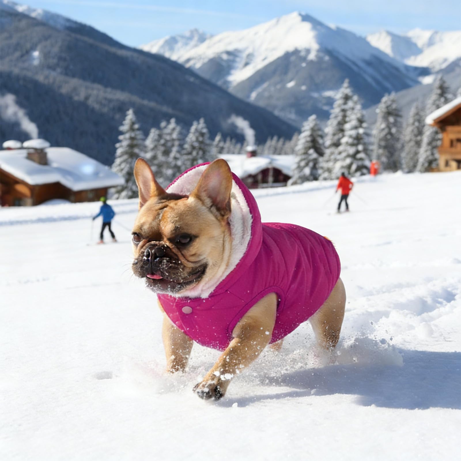 Sudadera con capucha de forro polar para perro, resistente al viento, impermeable, forro polar y algodón, chaqueta cálida para perro, ropa para mascotas para clima frío, chaleco para perros pequeños,