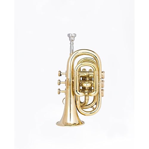 Pocket Trumpet in Bb Pitch – Full Brass Finish with Red Valve Accents | Compact Trumpet with Mouthpiece & Case for Beginners & Students