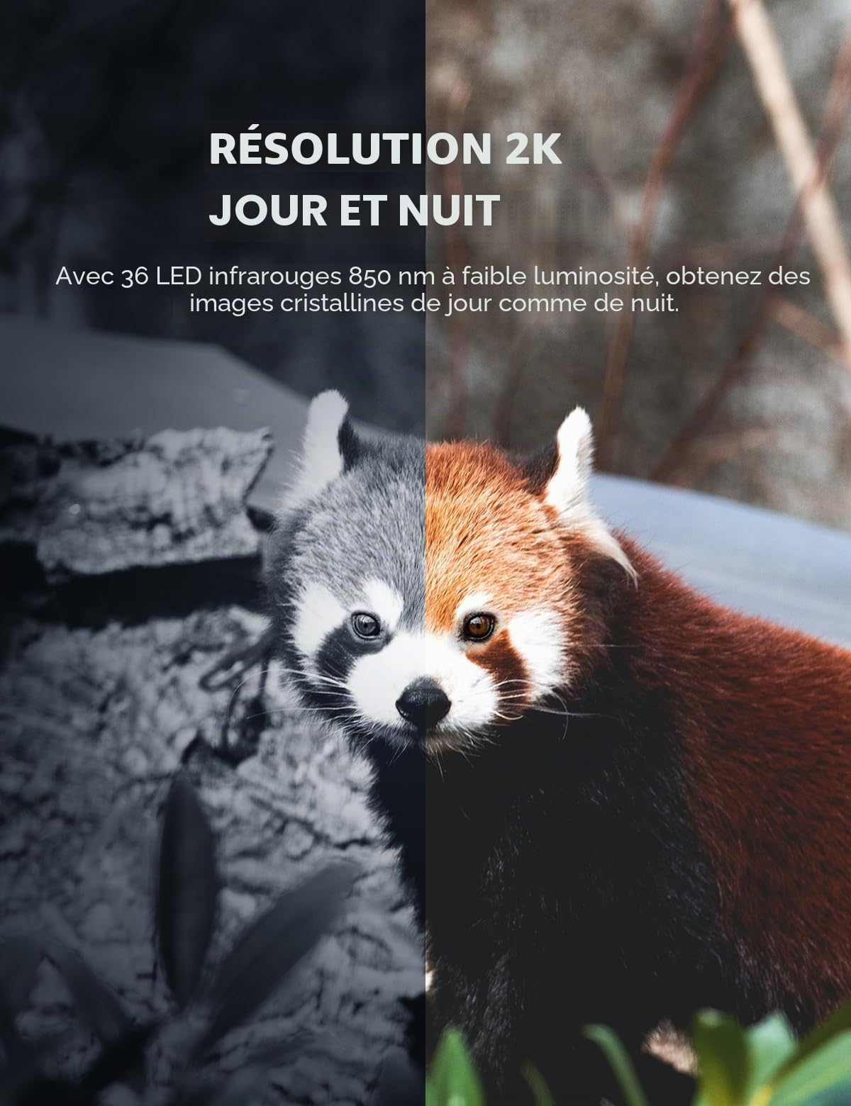 CEYOMUR Caméra de Chasse, Camera Chasse 20MP 1080P avec Carte SD 32 Go et 4 Piles LED IR Vision Nocturne Activée par Le Mouvement et Étanche IP66 pour Le Repérage de la Faune Sauvage
