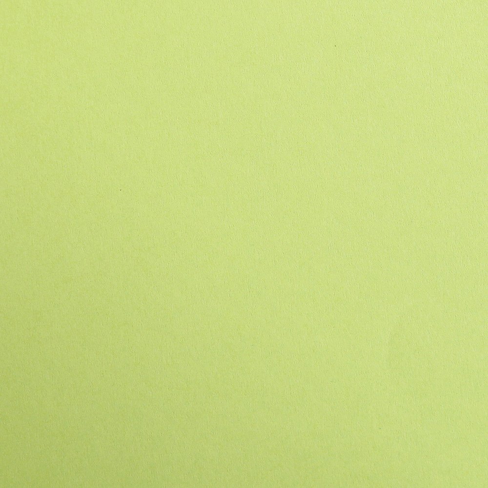 Clairefontaine - Ref 97152C - Maya Coloured Smooth Drawing Paper (Pack of 25 Sheets) - 120gsm Paper - 50 x 70cm - Moss Green Colour - Deep Dyed, Acid Free, pH Neutral